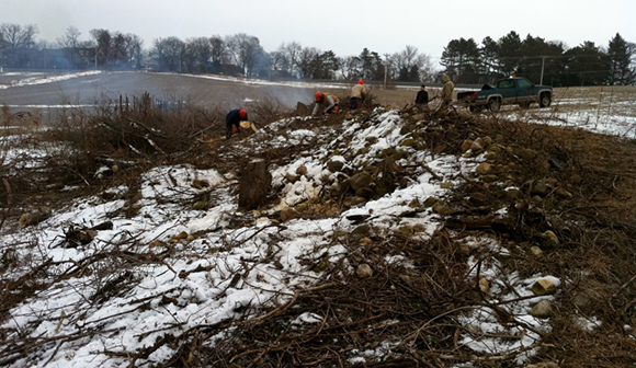 volunteers cutting down hedgrerows along snow-covered fields