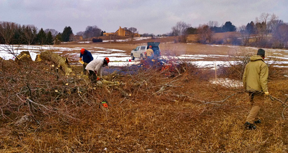volunteers collecting brush from trimmed hedgerows
