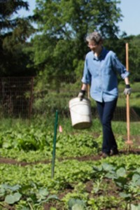 Sister Lynne, hoe in hand, working in garden, providing care for the earth. 