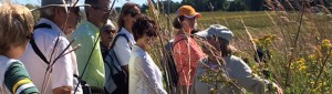Sylvia Marek leading a prairie walk - storing September