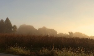 Mist rising over the prairie at Holy Wisdom Monastery