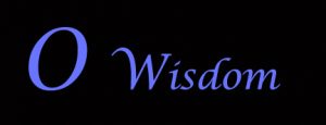 1_o-wisdom-2016-v2